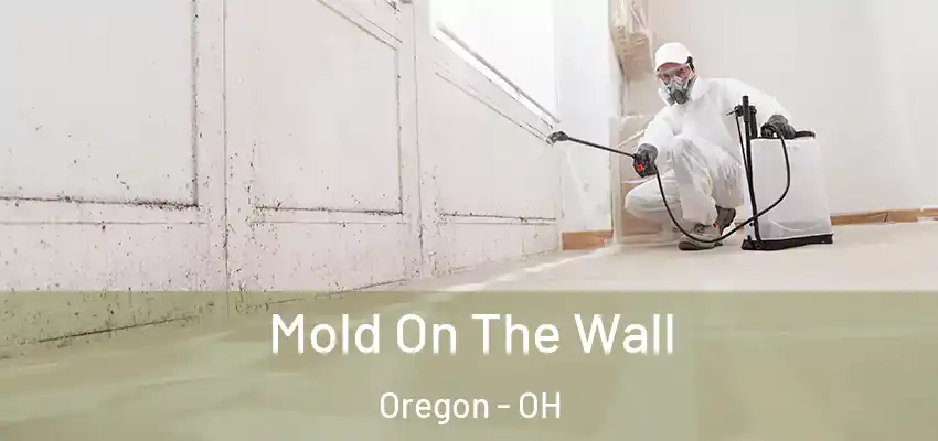 Mold On The Wall Oregon - OH