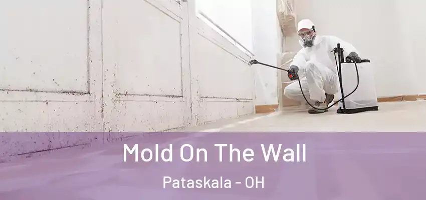  Mold On The Wall Pataskala - OH
