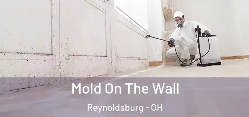 Mold On The Wall Reynoldsburg - OH