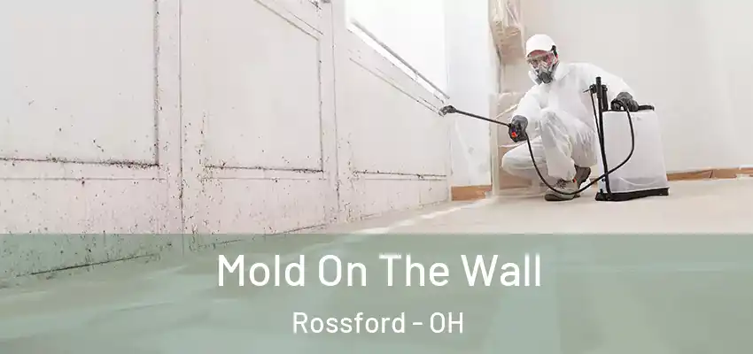  Mold On The Wall Rossford - OH