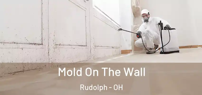  Mold On The Wall Rudolph - OH
