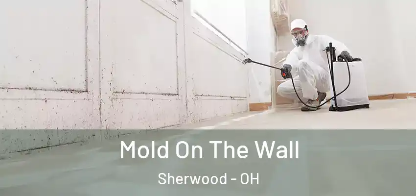  Mold On The Wall Sherwood - OH
