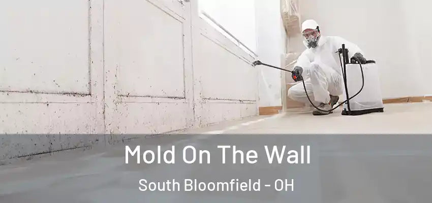 Mold On The Wall South Bloomfield - OH