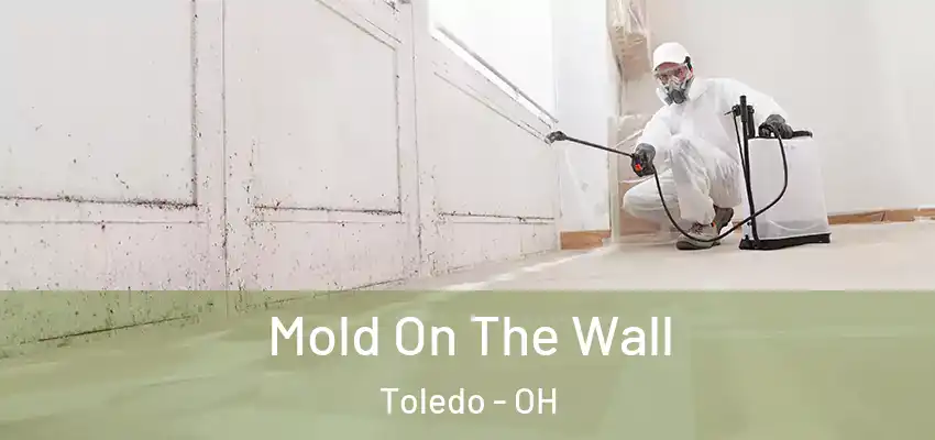  Mold On The Wall Toledo - OH