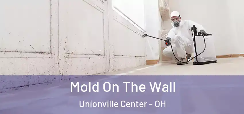  Mold On The Wall Unionville Center - OH