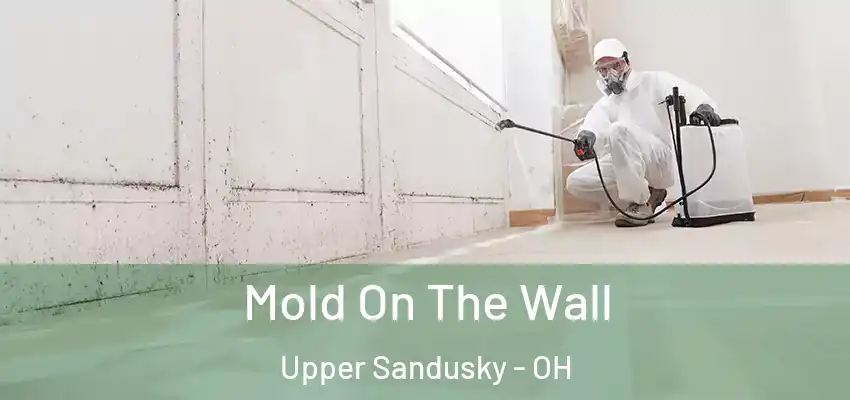  Mold On The Wall Upper Sandusky - OH