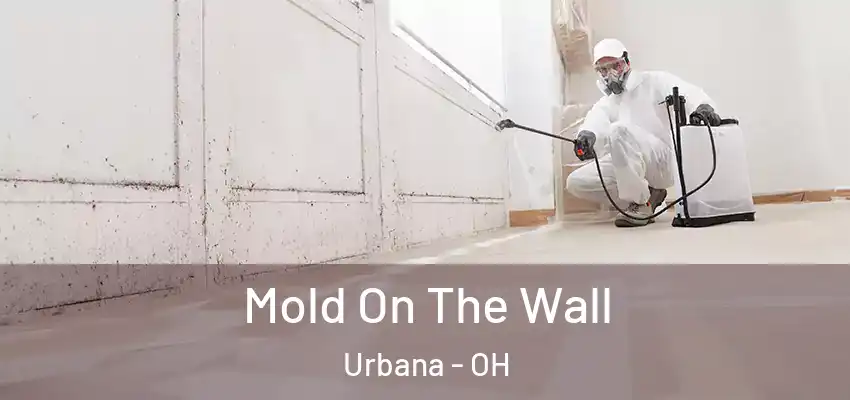  Mold On The Wall Urbana - OH