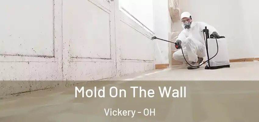  Mold On The Wall Vickery - OH