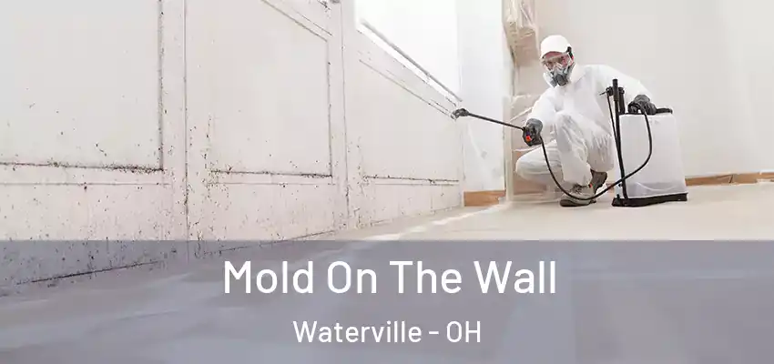  Mold On The Wall Waterville - OH