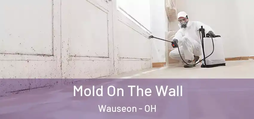 Mold On The Wall Wauseon - OH