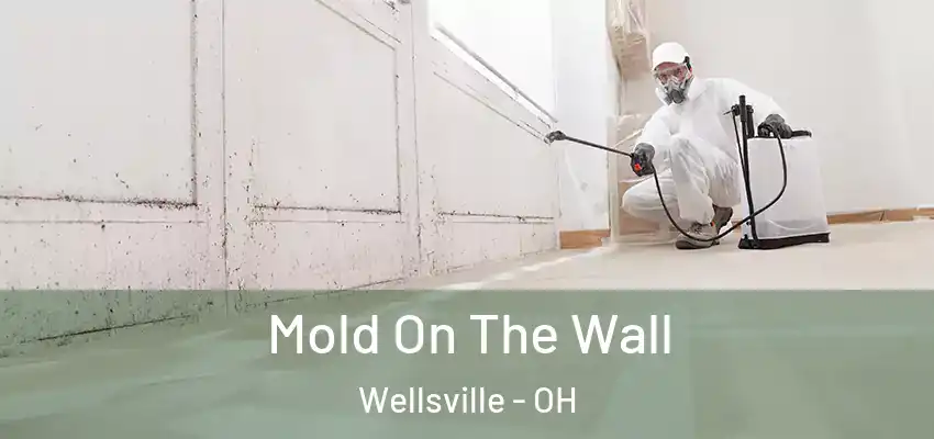  Mold On The Wall Wellsville - OH