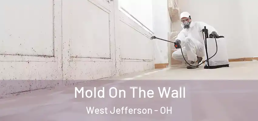  Mold On The Wall West Jefferson - OH