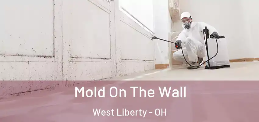  Mold On The Wall West Liberty - OH