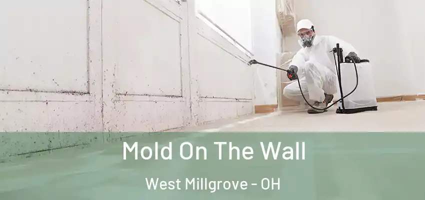  Mold On The Wall West Millgrove - OH