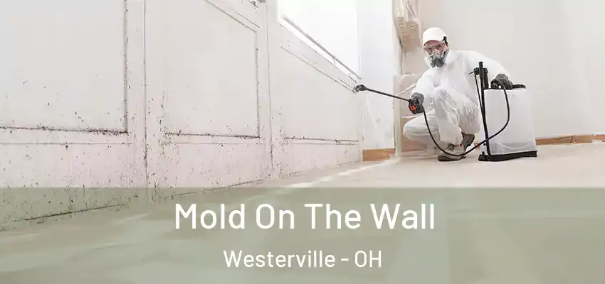 Mold On The Wall Westerville - OH