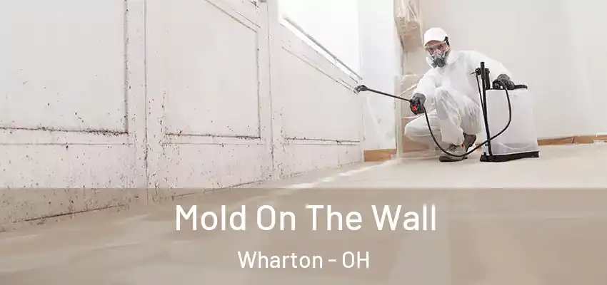  Mold On The Wall Wharton - OH