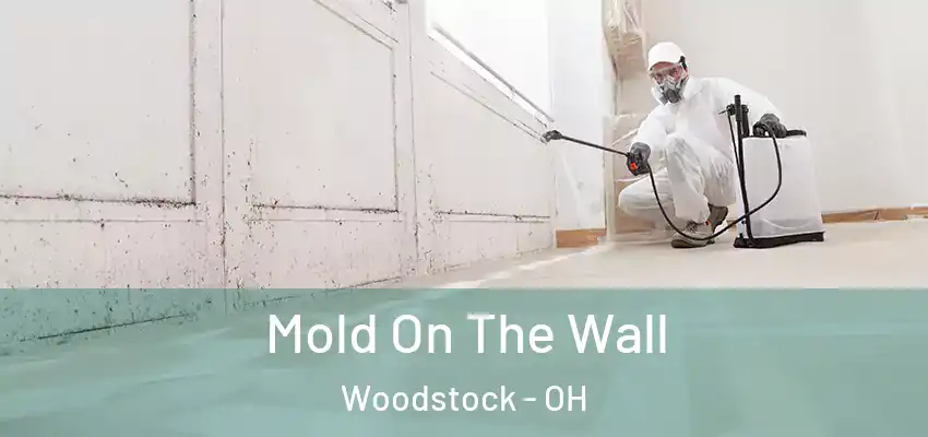  Mold On The Wall Woodstock - OH