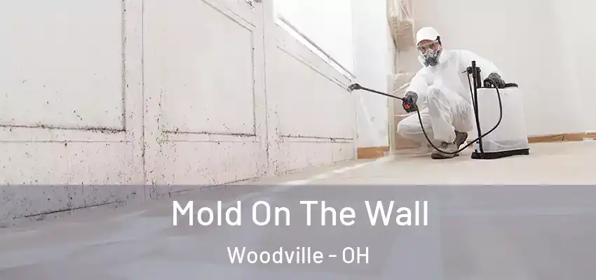  Mold On The Wall Woodville - OH