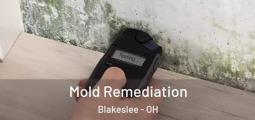 Mold Remediation Blakeslee - OH
