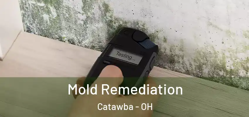  Mold Remediation Catawba - OH