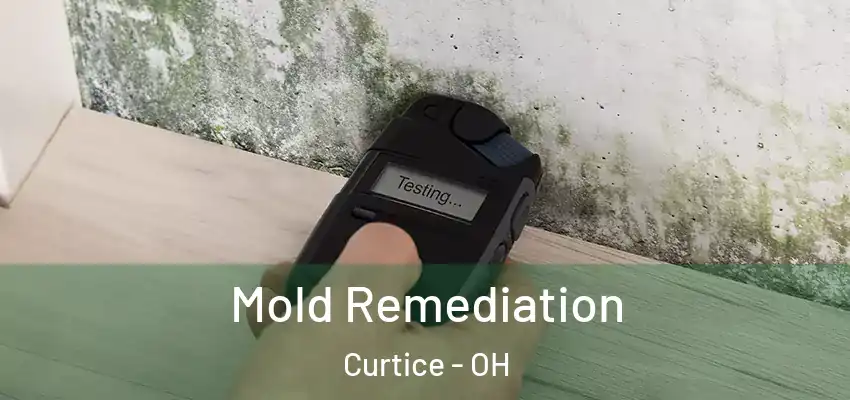  Mold Remediation Curtice - OH