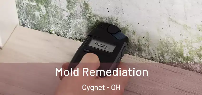 Mold Remediation Cygnet - OH