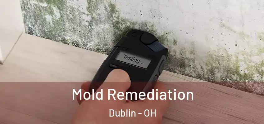 Mold Remediation Dublin - OH