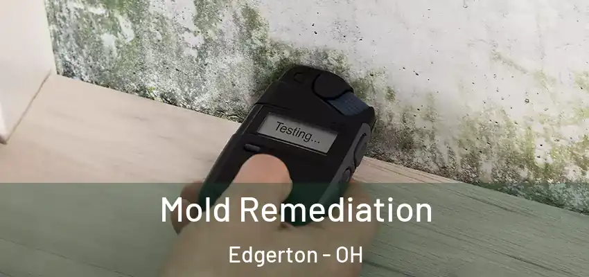  Mold Remediation Edgerton - OH