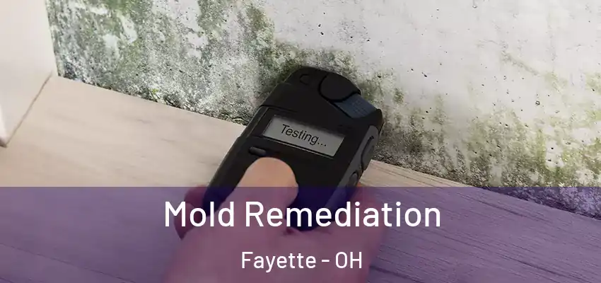  Mold Remediation Fayette - OH