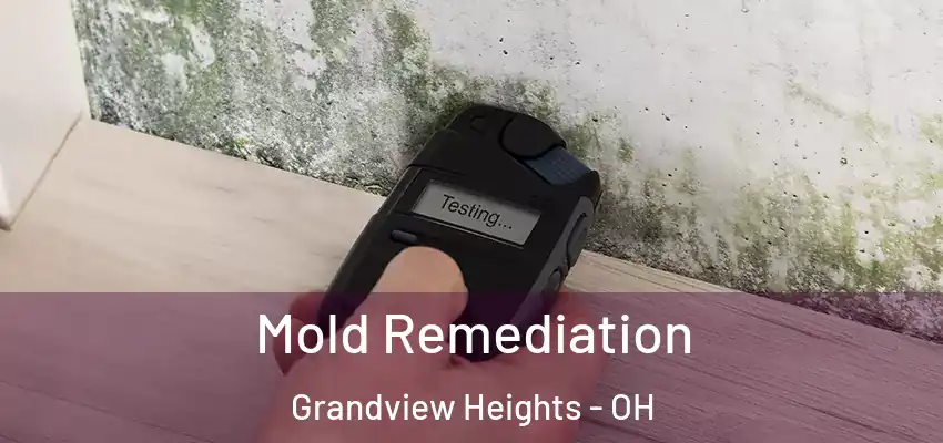  Mold Remediation Grandview Heights - OH
