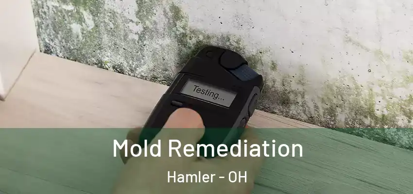  Mold Remediation Hamler - OH