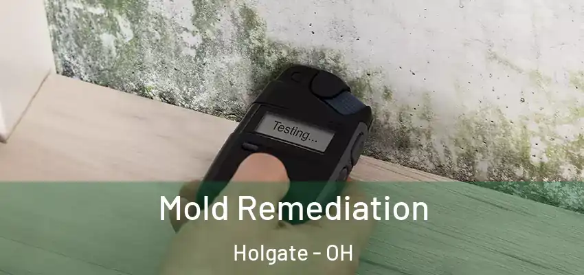  Mold Remediation Holgate - OH