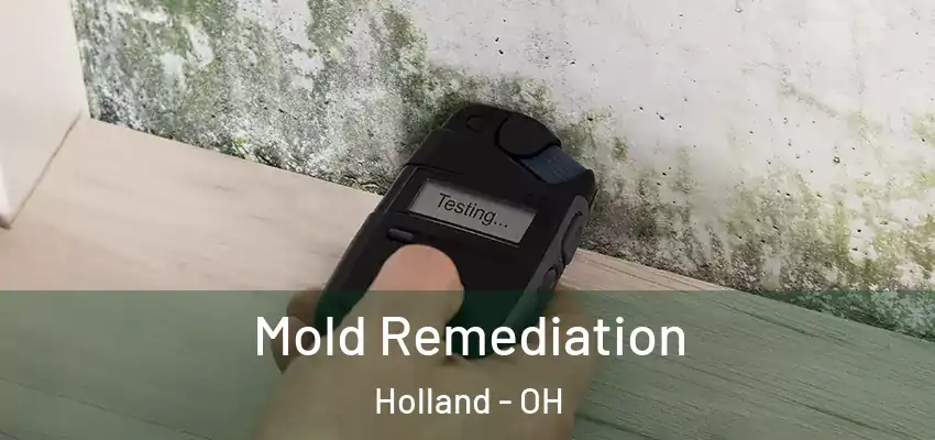  Mold Remediation Holland - OH