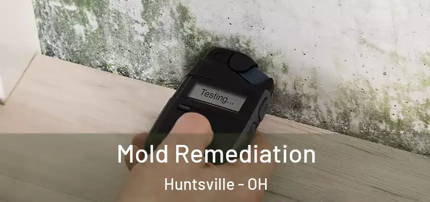 Mold Remediation Huntsville - OH