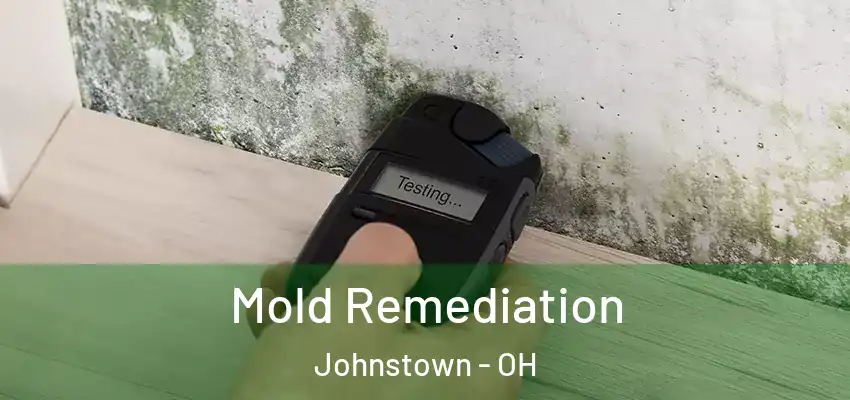  Mold Remediation Johnstown - OH