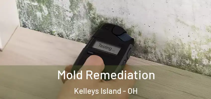  Mold Remediation Kelleys Island - OH