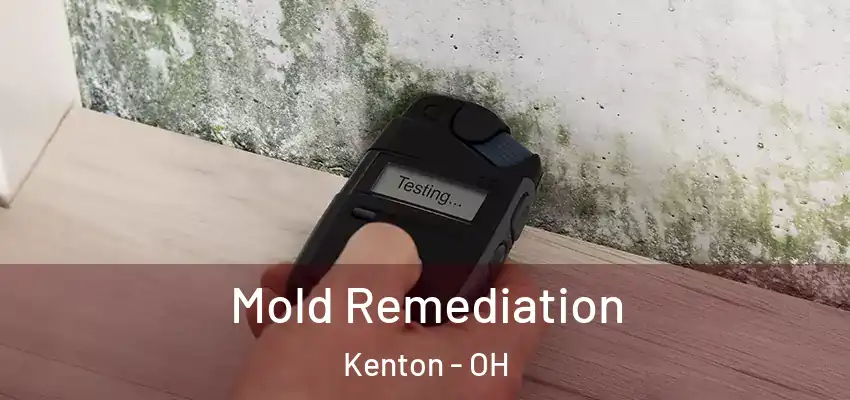  Mold Remediation Kenton - OH