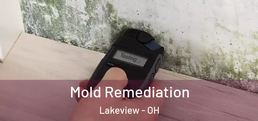 Mold Remediation Lakeview - OH
