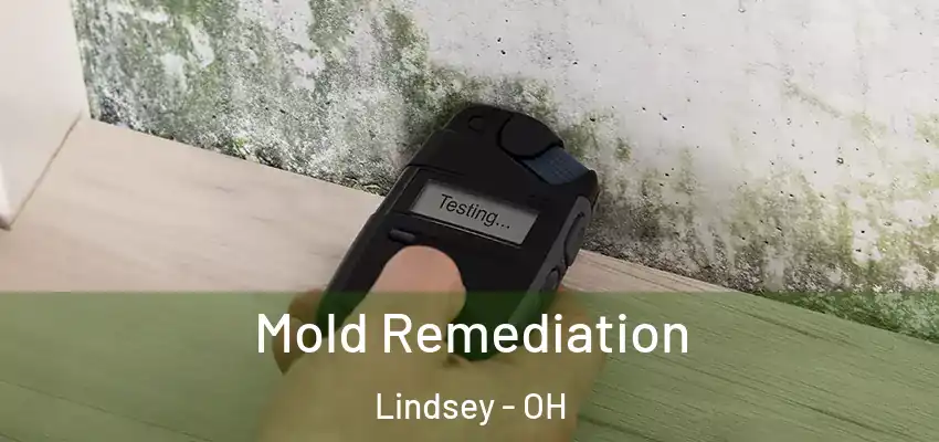  Mold Remediation Lindsey - OH