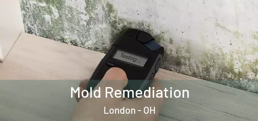  Mold Remediation London - OH