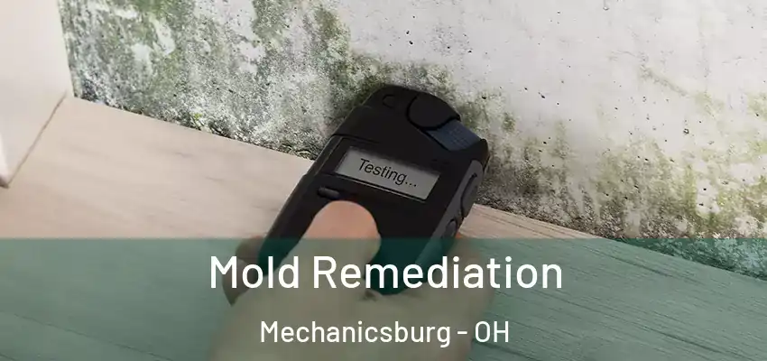  Mold Remediation Mechanicsburg - OH