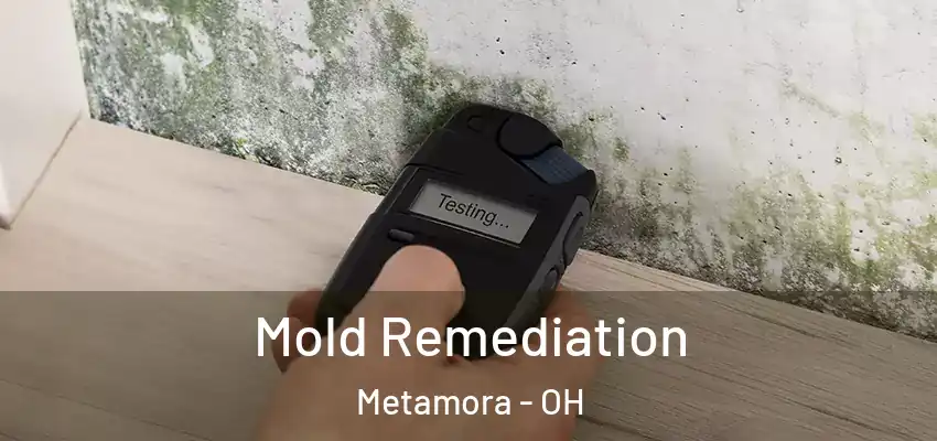  Mold Remediation Metamora - OH