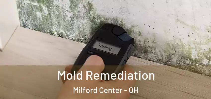 Mold Remediation Milford Center - OH