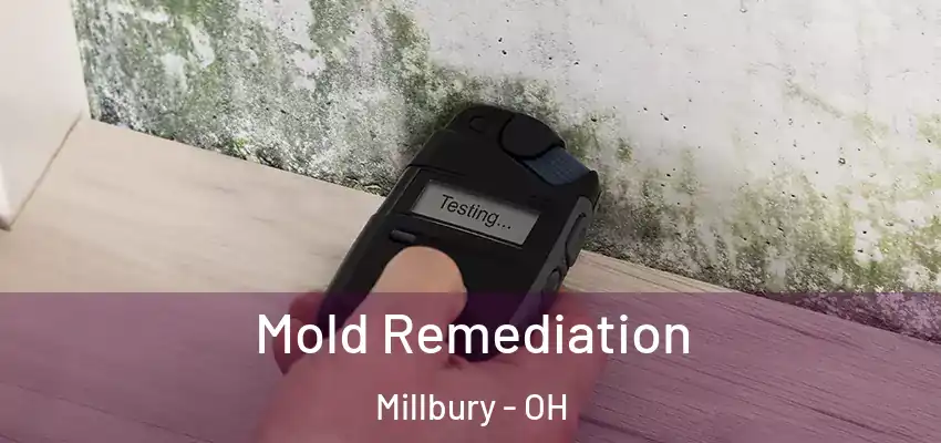  Mold Remediation Millbury - OH