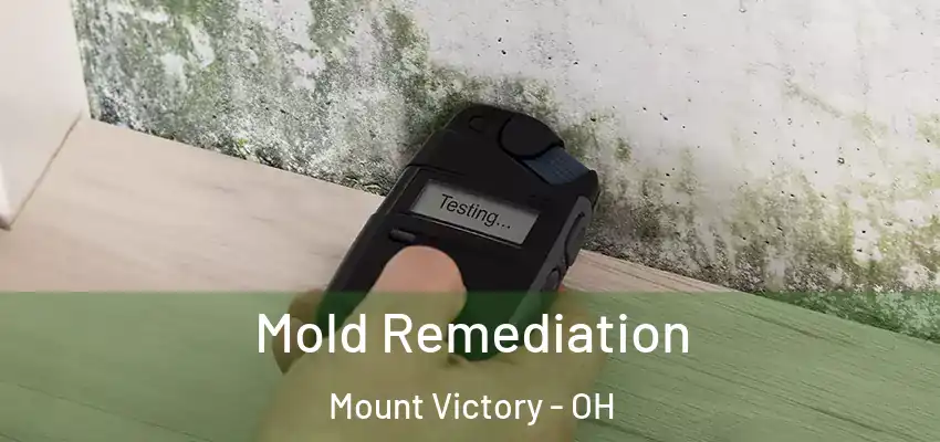  Mold Remediation Mount Victory - OH