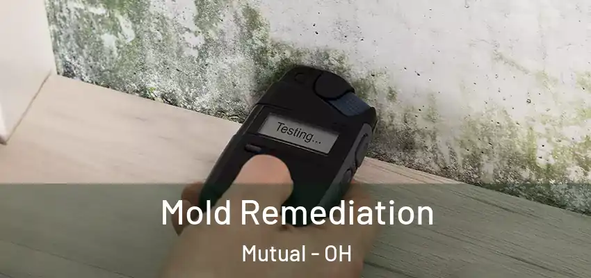  Mold Remediation Mutual - OH