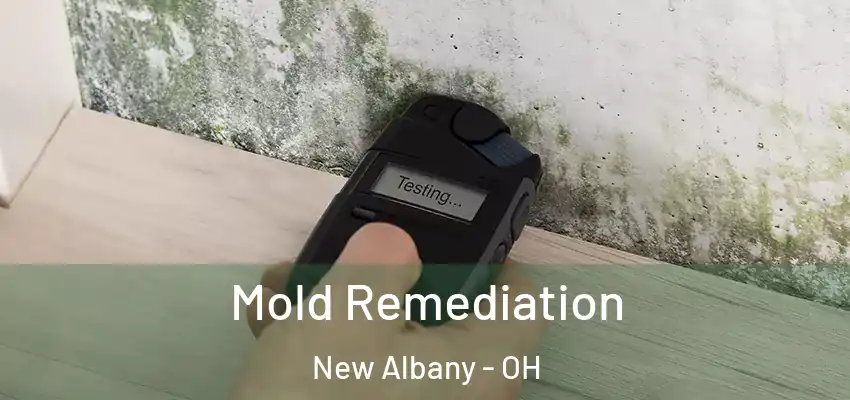  Mold Remediation New Albany - OH