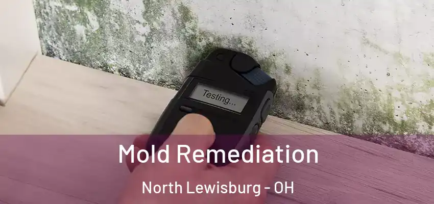  Mold Remediation North Lewisburg - OH