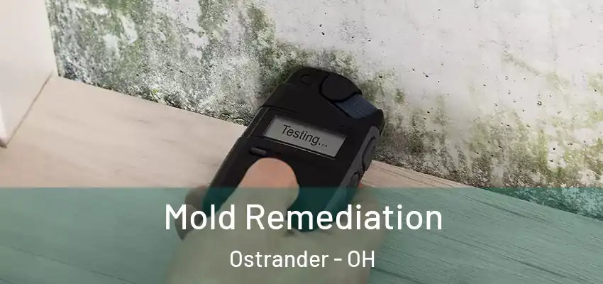 Mold Remediation Ostrander - OH