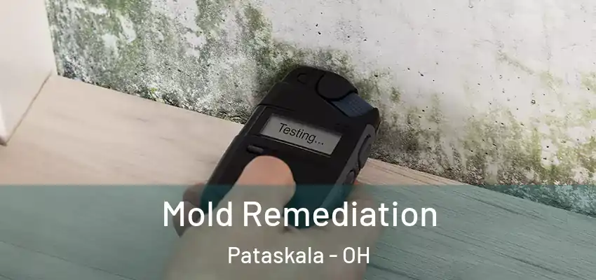 Mold Remediation Pataskala - OH